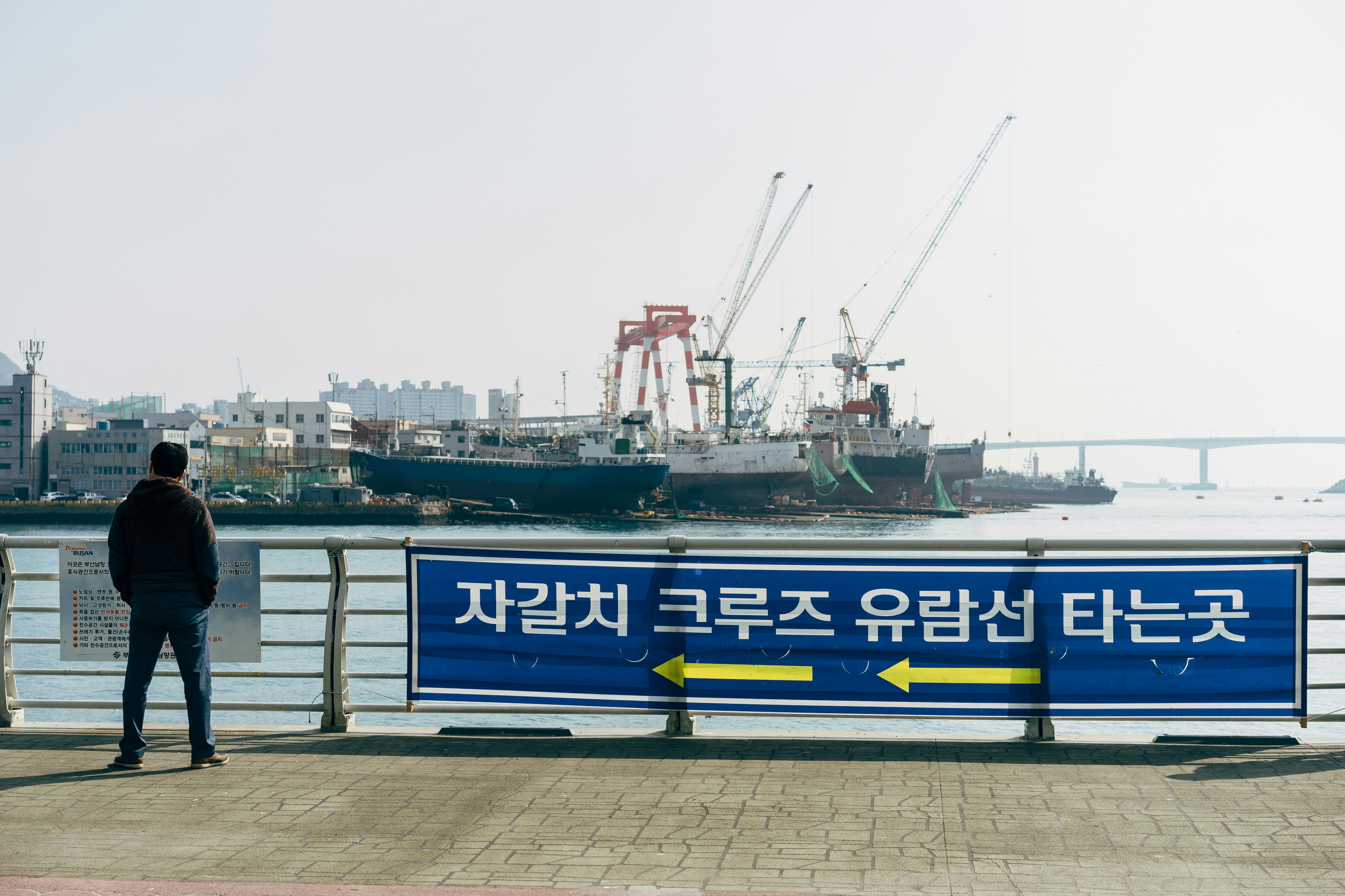 Export & Import